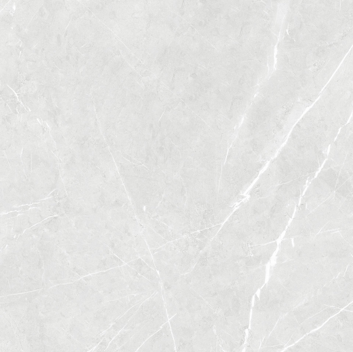 Tile Prozzo 6-8118 Matt 600x600