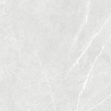 Tile Prozzo 6-8118 Matt 600x600