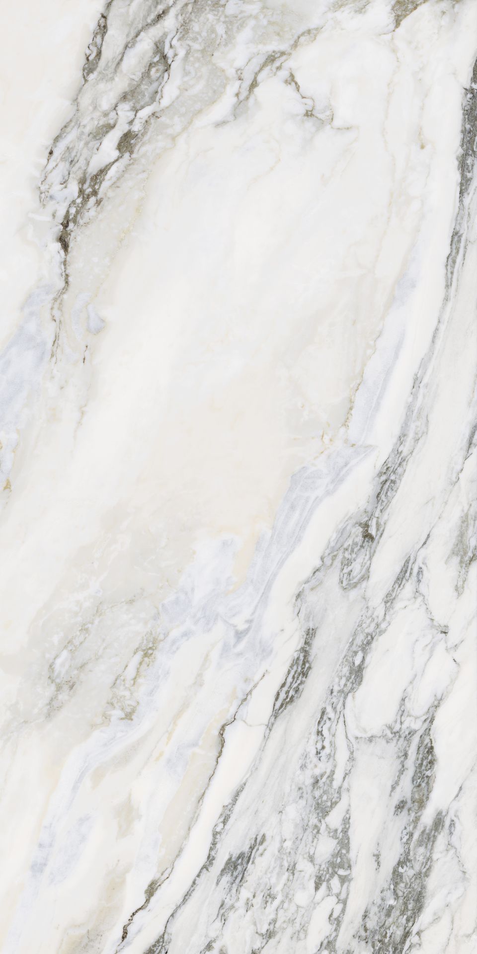 Veronic Arbesque