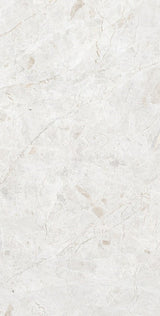Tile-Arco Natural  P