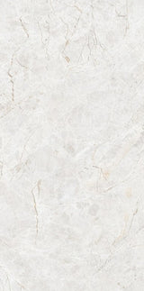 Tile-Arco Natural  P