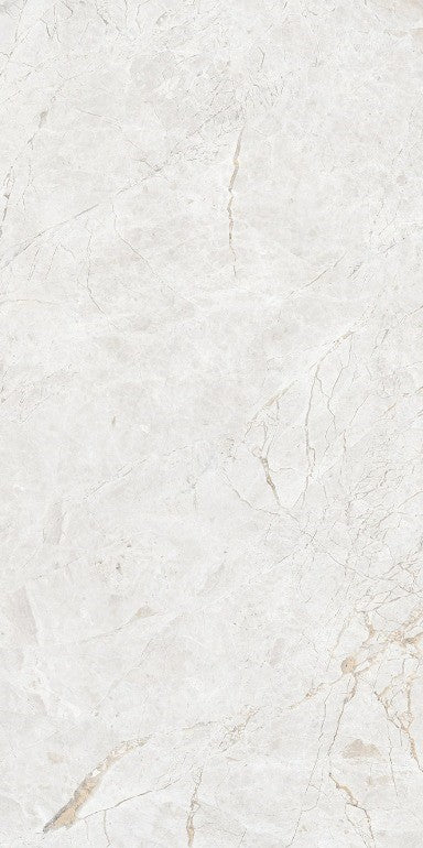 Tile-Arco Natural  P