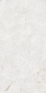 Tile-Arco Natural  P