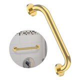 Stainless Steel Shower Grab Bar