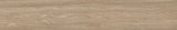 200*1200 - XS Zanzibar Almond (PRC) (5,1.20)