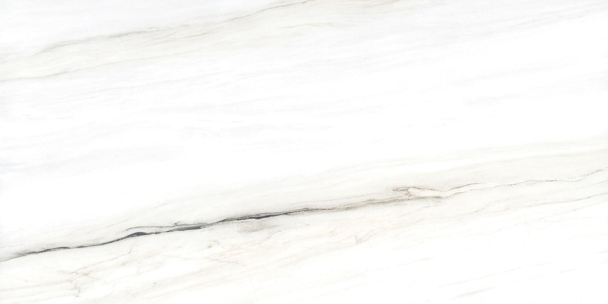 Tile-Leves Bianco Polished