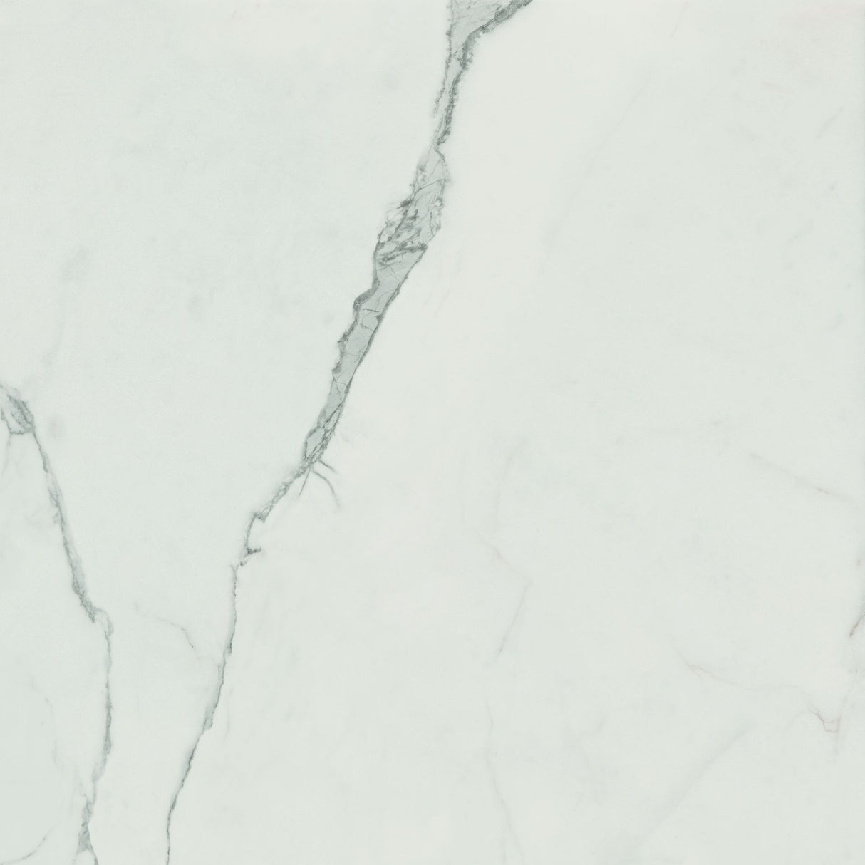 Tile-Luna Pol Blanc