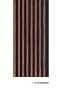 Plastic Molding – LV129 BR396NK