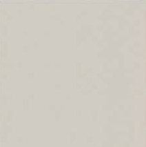 300*300 8SP Dura BG (16,1.44)