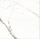 300x300 Carara Milky F