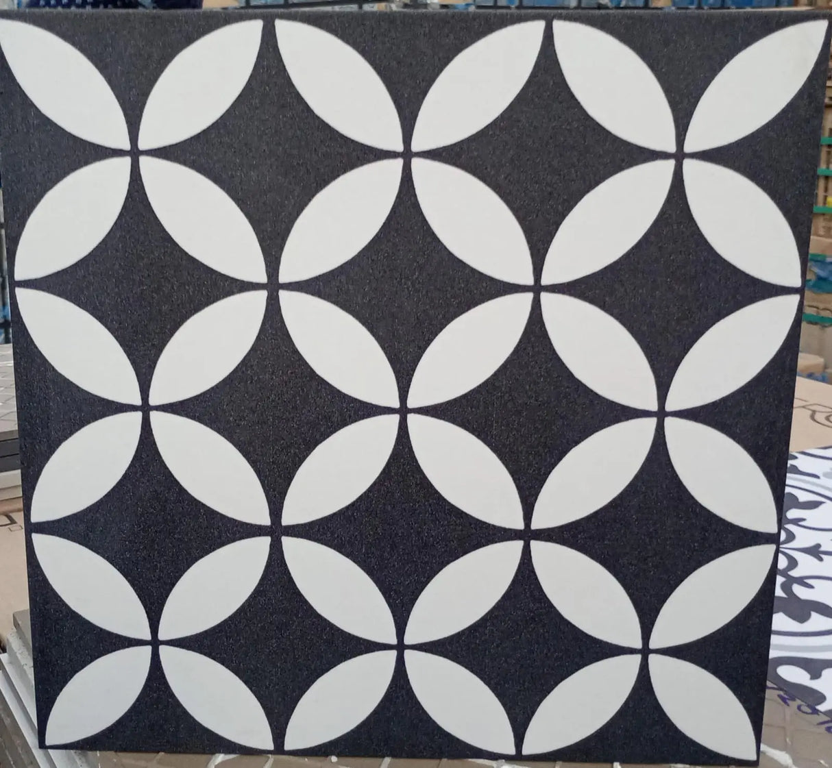 300*300 Monochome Cric Matt 20162  3mm spacer recommended (9,0.81)
