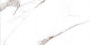 300*600 Vivid White