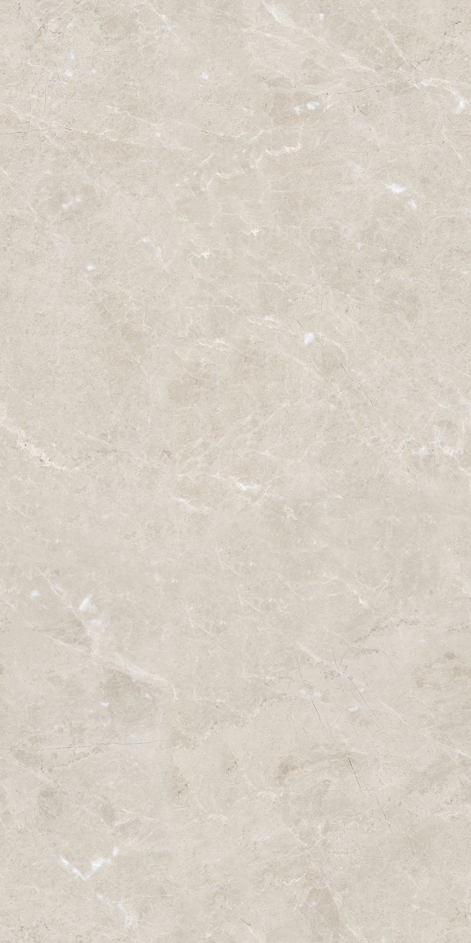 Tile-Aries Ivory - P