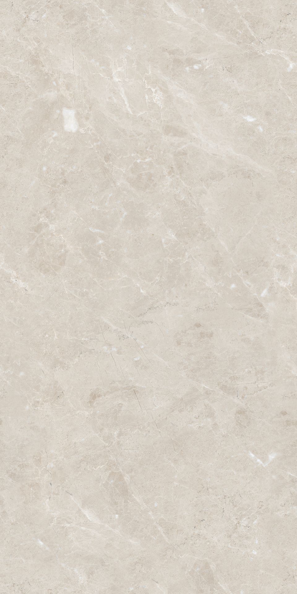 Tile-Aries Ivory - P