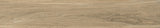 Tile-Madeira Oak Punch-M