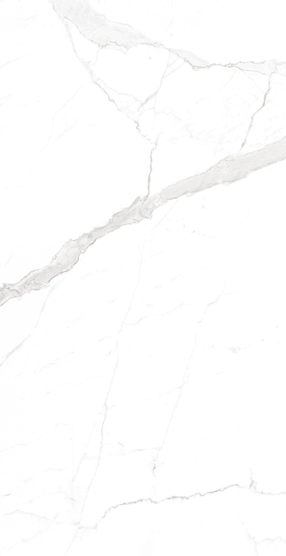 Tile-Vetican Statuario (Homogenous Body Glossy)