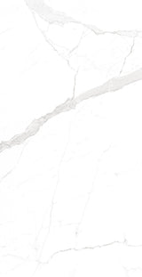Tile-Vetican Statuario (Homogenous Body Glossy)