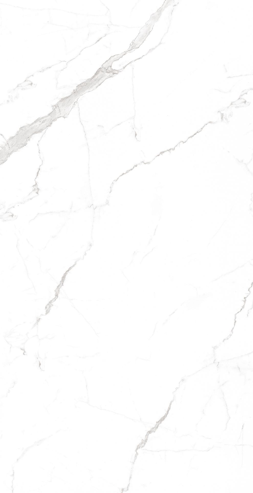 Tile-Vetican Statuario (Homogenous Body Glossy)