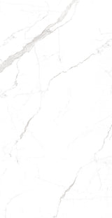 Tile-Vetican Statuario (Homogenous Body Glossy)