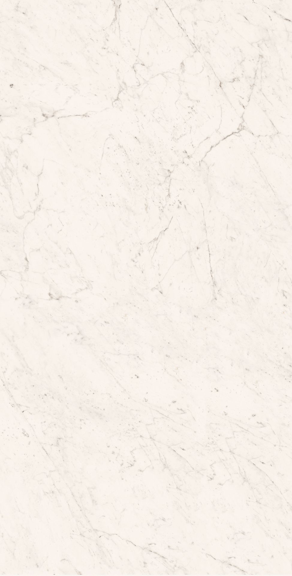 Tile-Superb Carrara Grande