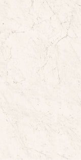 Tile-Superb Carrara Grande