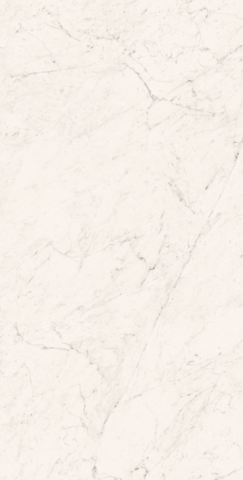 Tile-Superb Carrara Grande