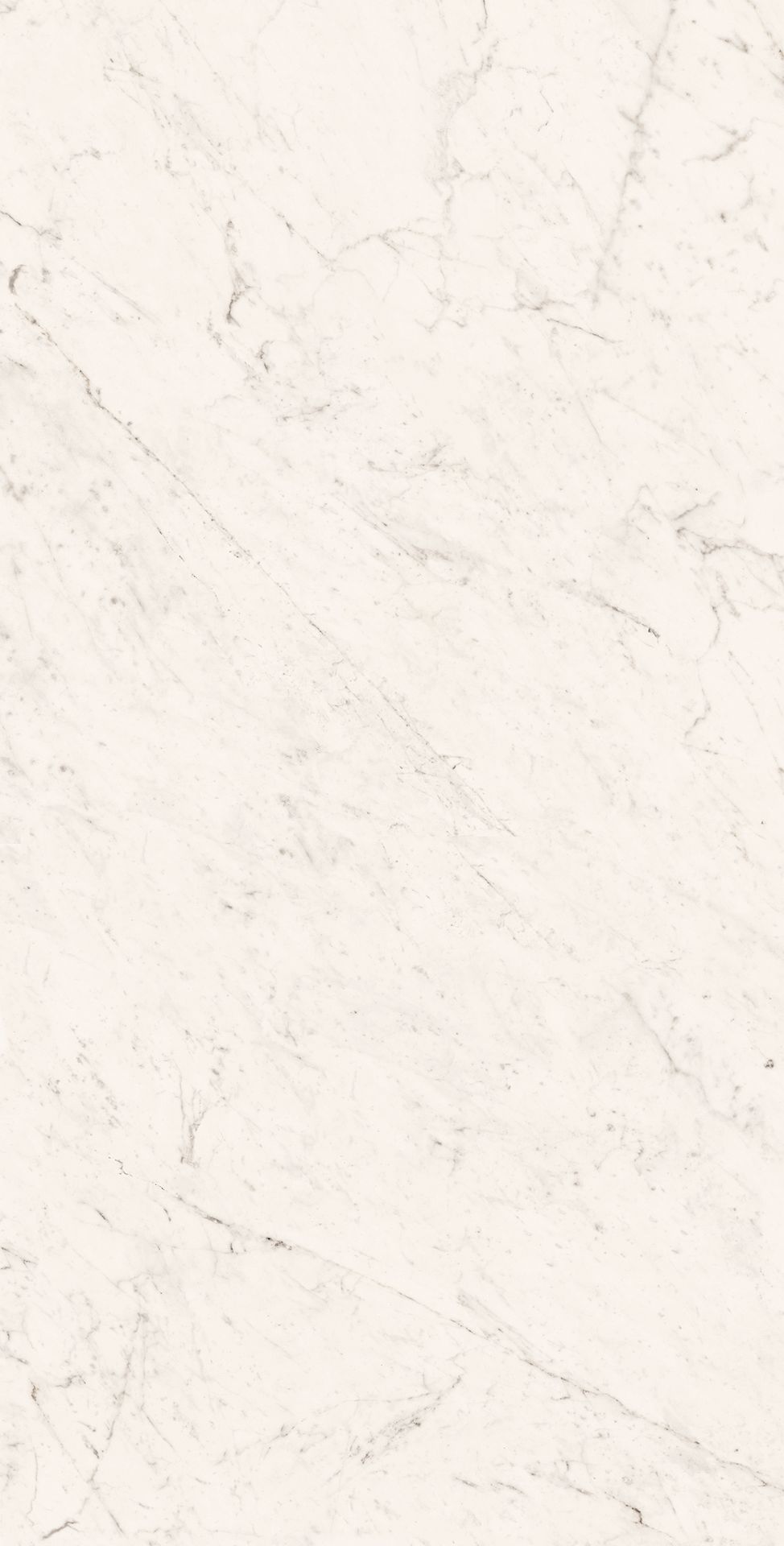 Tile-Superb Carrara Grande