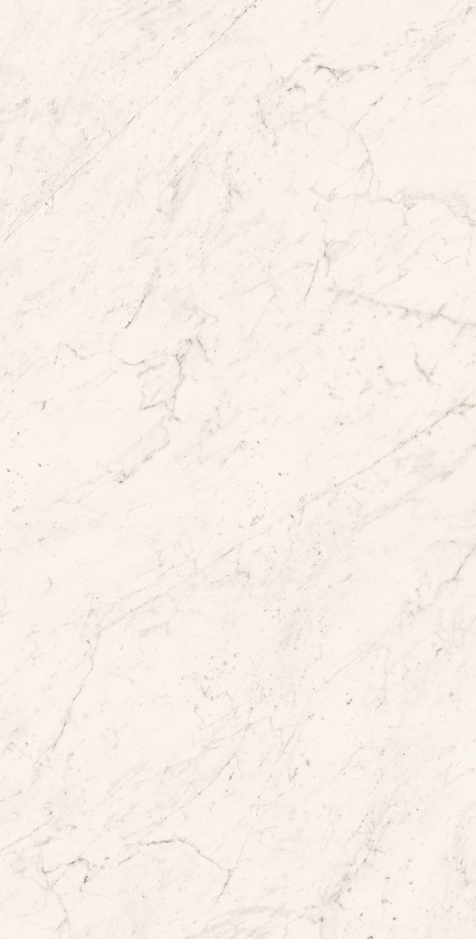 Tile-Superb Carrara Grande