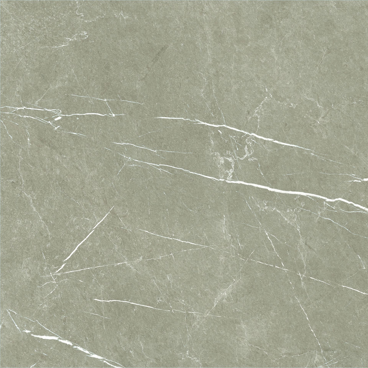 600*600 Eternal Taupe Natural  Rectificado  (3,1.08)