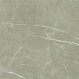 600*600 Eternal Taupe Natural  Rectificado  (3,1.08)