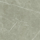 600*600 Eternal Taupe Natural  Rectificado  (3,1.08)