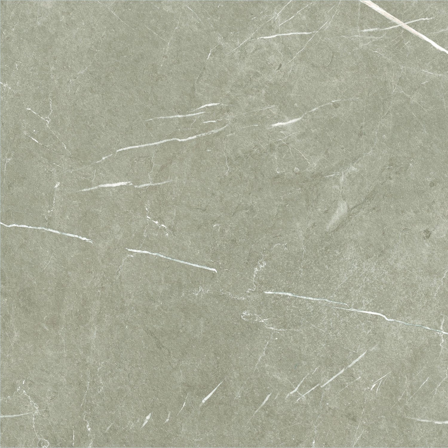 600*600 Eternal Taupe Natural  Rectificado  (3,1.08)