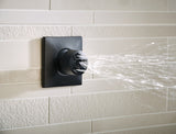 Brizo Hydrachoice Max® Square Body Spray Trim – Matte Black