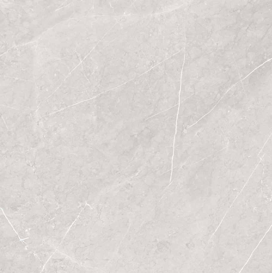 Tile Dorado Silver Glossy 600×600
