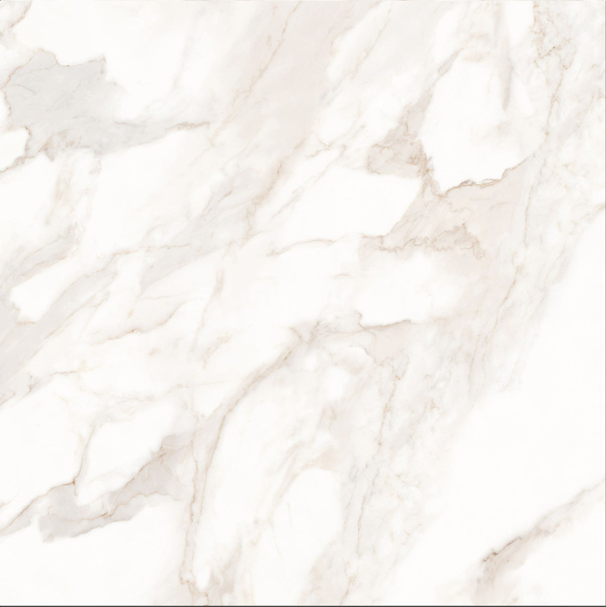Tile-Calacatta