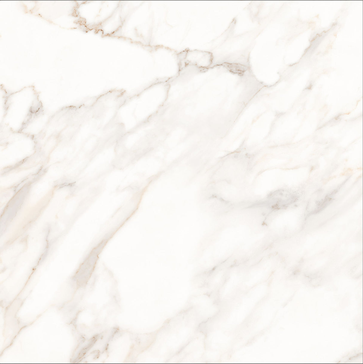 Tile-Calacatta