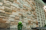 Sierra Nevada Corteza Stone Wall Tile