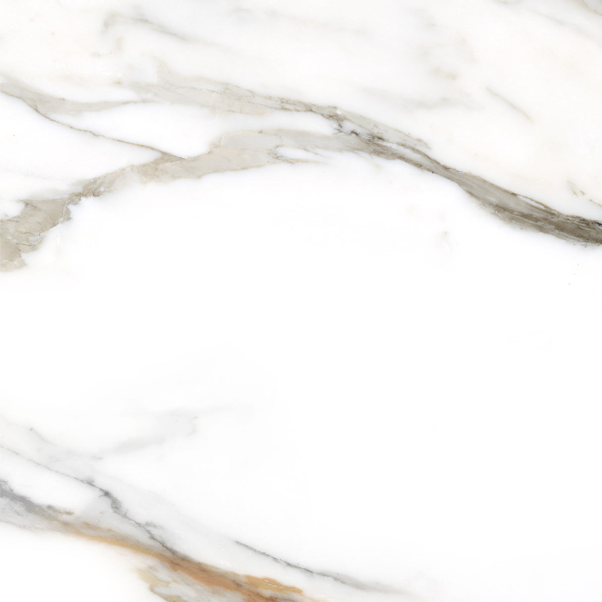 Tile Calacatta Gold White Rect Matt 595×595