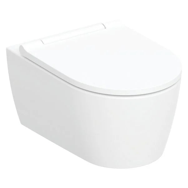 One Wall Mounted Rimless WC And Seat