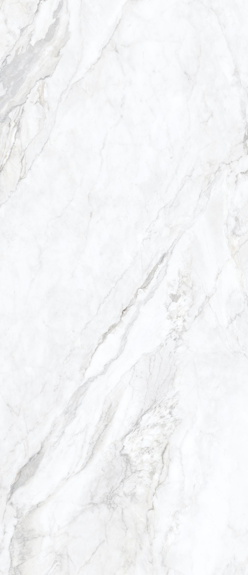 Tile-Glacier Blanco (Posh)