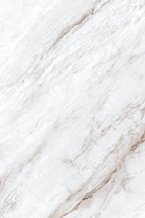 Tile-Michael Angelo (Polished)