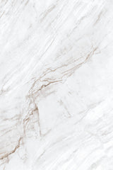 Tile-Michael Angelo (Polished)