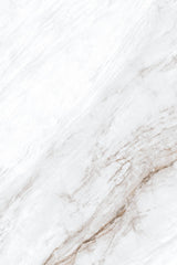 Tile-Michael Angelo (Polished)