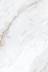 Tile-Michael Angelo (Polished)