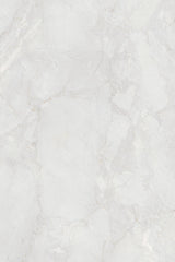 Tile-Silver Paradise (PG)
