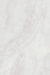 Tile-Silver Paradise (PG)