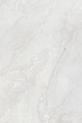 Tile-STX Silver Paradise (Matt)