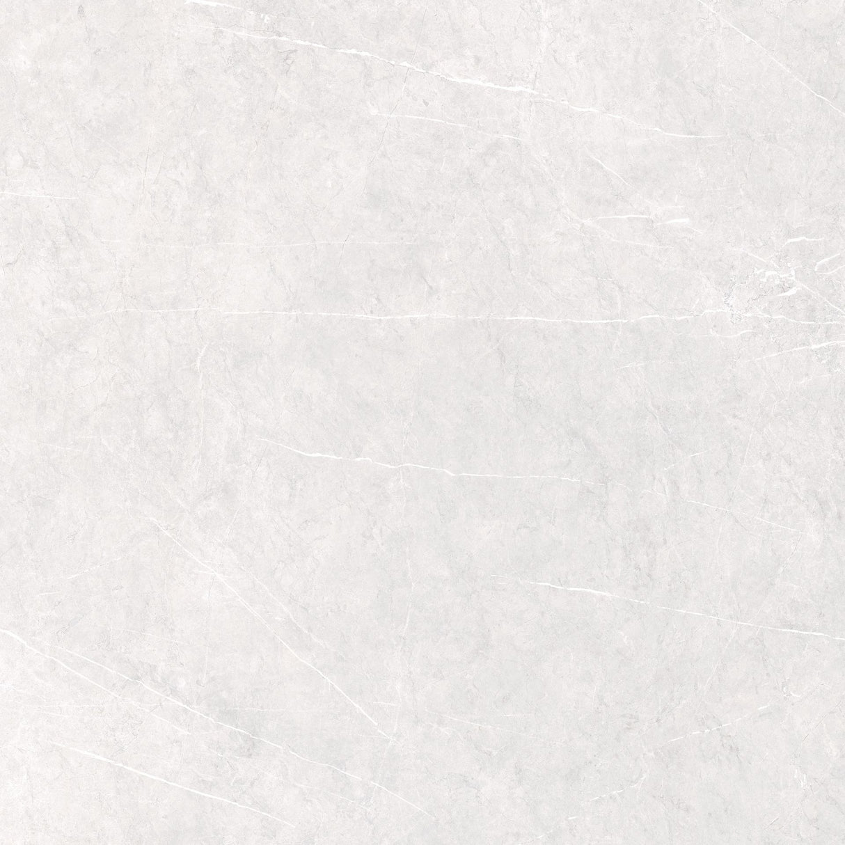 Tile-AU Visionaire Polished White