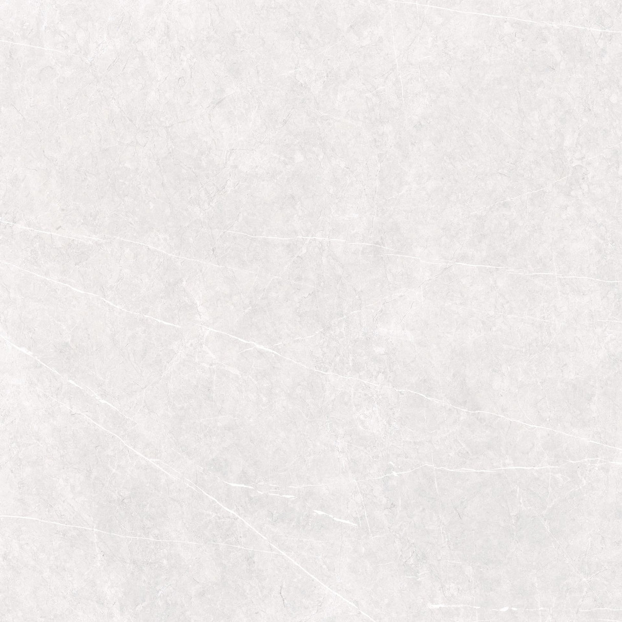 Tile-AU Visionaire Polished White