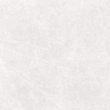 Tile-AU Visionaire Polished White